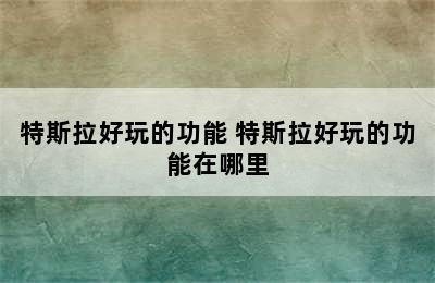 特斯拉好玩的功能 特斯拉好玩的功能在哪里